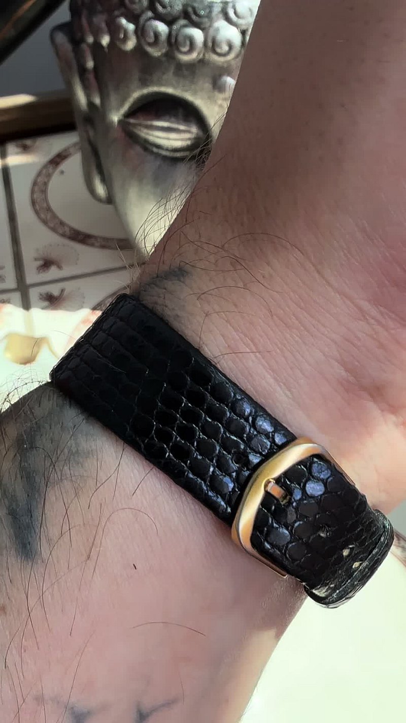 Cadru din clipul Mersul înainte nu ține de viteză, ci de constanță. #omega #zenith #movado #tudor #luxurywatches ♎️🧑🚀 Houston, ..we have a legend